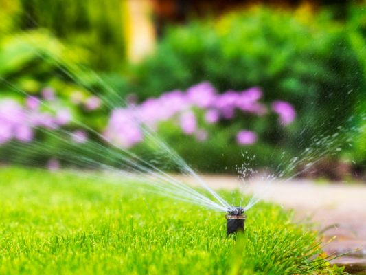 How to Water Your Lawn Without a Sprinkler System