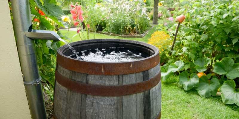 rainwater harvesting benefits for wellness